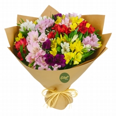 Magnífico Ramalhete de Alstroemérias