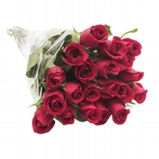 Floricultura em Salvador